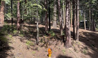 5175 Hokan Cir, Camp Connell, CA 95223