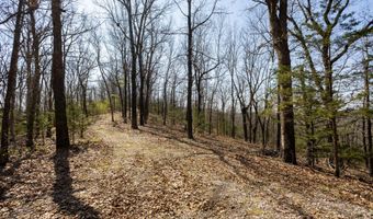 16032 Farm Road 1212, Aurora, MO 65605