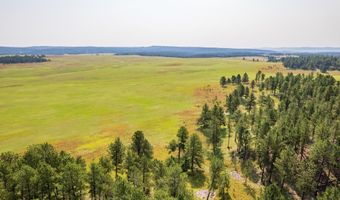Vista Meadows 4 Elk Run Road, Custer, SD 57730