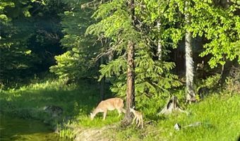 13818 Crystal Creek Ln, Bigfork, MT 59911