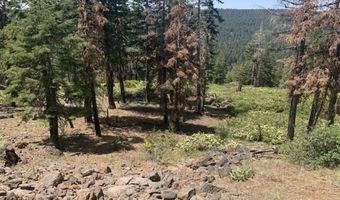Lot 35 Pyramid Rd, Alturas, CA 96101