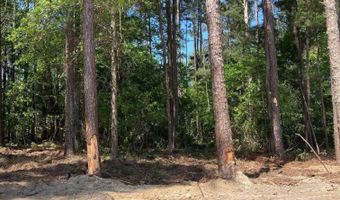 10735 Wilson Blvd, Blythewood, SC 29016