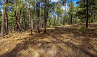 Tbd CR2325, Alpine, AZ 85920