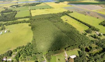 Jolene Road, Basile, LA 70515