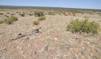14 CR 5525, Concho, AZ 85924