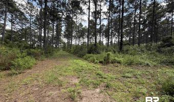 154 Perry Ln, Atmore, AL 36502