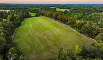 100 Acres Harmony Church Rd, Andalusia, AL 36421