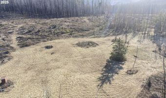 91747 BLUE RIVER RESERVOIR Rd, Blue River, OR 97413