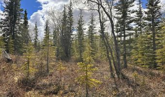 B005 S Packsaddle Road, Chickaloon, AK 99674
