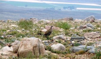 Nhn Broken Trail N 944-19, Belfry, MT 59008