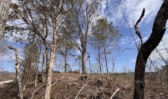 0 County Road 217 Lot 2, Blue Springs, MS 38828