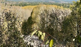 4051 Golden Stone Ln, Ashton, ID 83420