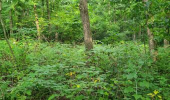 65 Acres 107th Ave, Allegan, MI 49010