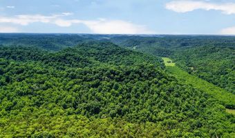 2926 Bryant Ridge Rd, Baxter, TN 38544