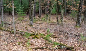 Dover Drive lot 1 14 Ac, Adams, WI 53910
