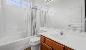 11641 W Adam St, Avondale, AZ 85323