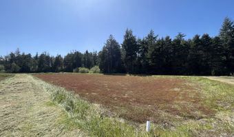 95033 Croft Lake Ln, Bandon, OR 97411