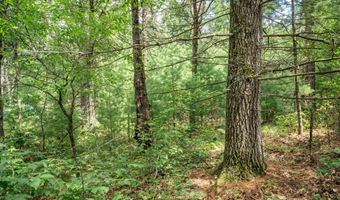 5 Ac 19th Ct, Arkdale, WI 54613