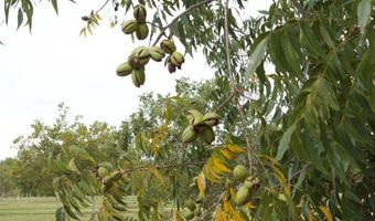 9953 Gravel Hl, Baconton, GA 31716