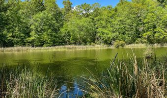 406 Chimney Rock Dr, Alberta, AL 36720