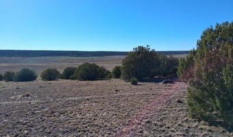 N8715, Concho, AZ 85924