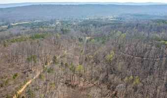 163 Acres Duck Springs Rd, Attalla, AL 35954