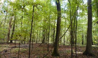 Anding Oil City Road, Bentonia, MS 39040