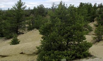 nhn Cottonwood Road, Bridger, MT 59014