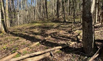 2438 Kellersville Rd, Banner Elk, NC 28604