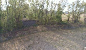 Holloway Landing Road, Barlow, KY 42024