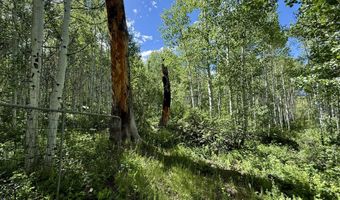 TBD CR 501, Bayfield, CO 81122