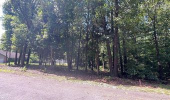 Nettle LN, Bella Vista, AR 72714
