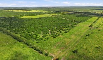 3124 County Road 220, Alice, TX 78332