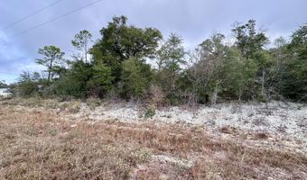 Sadorus Avenue lot 14, Alford, FL 32420