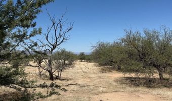 2720 W Blueflax Ln, Benson, AZ 85602