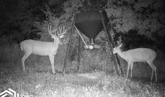 560 Th Ave, Albia, IA 52531