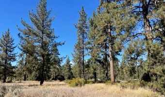 Lot 18 Pyramid Peak Road, Mountain Center, CA 92561