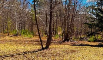 TM 407 L 35 Shem Valley Road, Alexandria, NH 03222