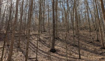 9999 Tip Top Rd, Beattyville, KY 41311