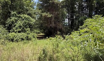 1420 Plametto Rd, Sparkman, AR 71763