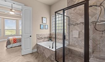 1926 Alpine Mist, San Antonio, TX 78258