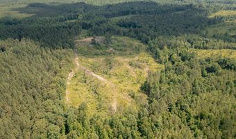 Hwy 9, Bruce, MS 38915