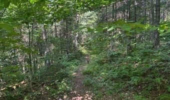 639 Horace Way Rd, Albany, VT 05820