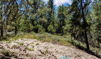 1497 Pine Ridge Dr, Cascade, ID 83611