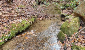 135 49ac Webb Creek Rd, Andrews, NC 28901