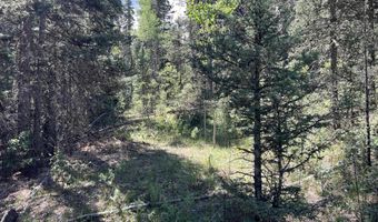 36 Sheilds Ave, Angel Fire, NM 87710