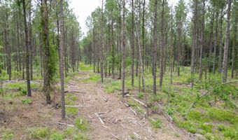 19 43 Big Rocks Rd, Antlers, OK 74523
