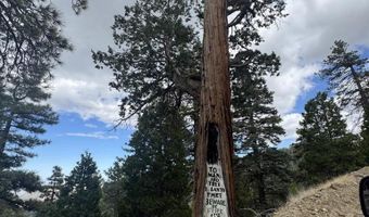 636 Mountain Center 35-0002, Mountain Center, CA 92561