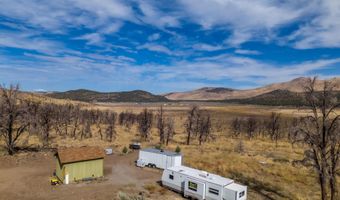 778 Big Valley Rd, Gardnerville, NV 89410
