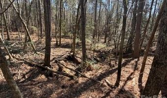 12 68 Acre 99 Rd, Blair, SC 29015
